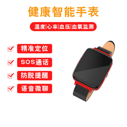 宏放智联gps(图)-物流车gps方案-通化物流车gps