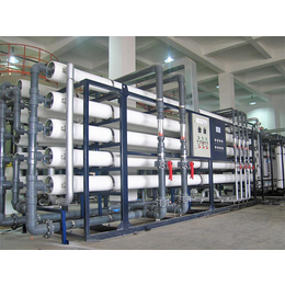 贵州工业纯化水设备 - ro反渗透水处理设备