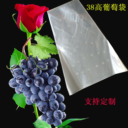 太原葡萄包装袋-雄县运达塑料包装厂-加厚葡萄包装袋