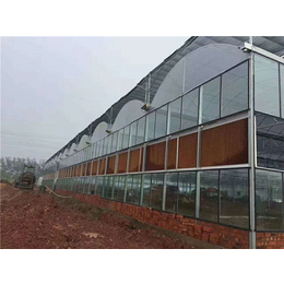 唐山玻璃温室-贵贵温室-玻璃温室