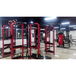 室内健身器材-大有健身器材公司-室内健身器材安装