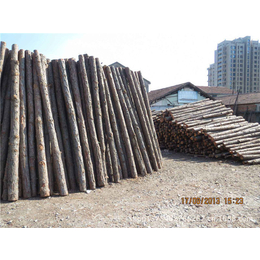 打桩木价格-明堂贸易-杭州打桩木