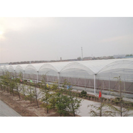 薄膜温室-青州瀚洋农业-薄膜温室工程