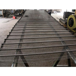 不锈钢链条传送带-冲孔链板输送带(在线咨询)-广州传送带