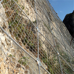 边坡防护网-主动边坡防护网-湖南长沙边坡防护