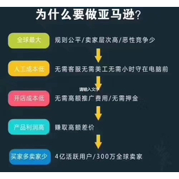 壹玖玖跨境电商  无货源模式