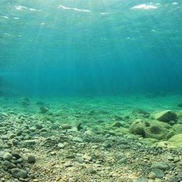 海洋沉积物检测_山东海洋沉积物监测机构