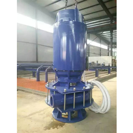 天门ZJQ型潜水泥浆泵厂家-双能泵业