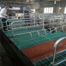 厂家供应欧式双位母猪产床 母猪保育床厂家