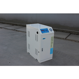 电蒸汽发生器价格-隆鑫热能设备-洗车电蒸汽发生器价格