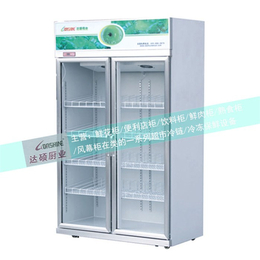饮料冰柜供应商-呼和浩特饮料冰柜-达硕商超冷链制造