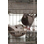 肉食鸽养殖基地-肉食鸽-山东中鹏农牧(查看)缩略图1