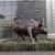 咸阳铜雕牛-厂家直营-大型广场水景铜雕牛雕塑缩略图1