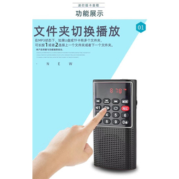 快乐相伴品质保证-香港插卡录音机-L-328便携式插卡录音机批发