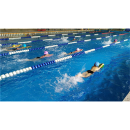游泳培训课程-南城大脚鱼游泳俱乐部(图)-学生游泳培训课程