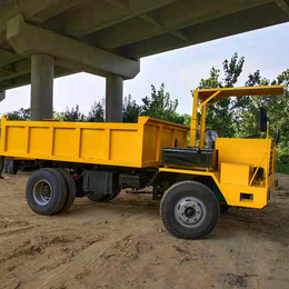 井下运输车 5吨低矮型四不像运输车 小型自卸车厂家