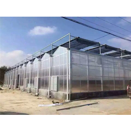 pc阳光板温室 v型阳光板温室设计 自建个阳光板温室多少钱