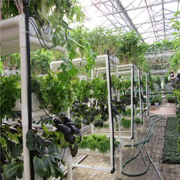 白色梯形草莓立体种植槽 漏窗栽培种植 温室无土栽培设备定做