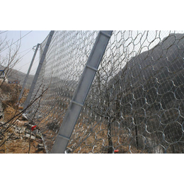 眉山被动环形边坡防护网-龙盾交通工程-被动环形边坡防护网厂家