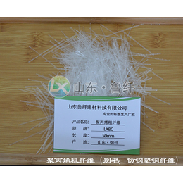 山东鲁纤维实力厂家(图)-混凝土加塑钢纤维-北京塑钢纤维
