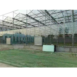 青州瀚洋农业(在线咨询)-连栋温室-连栋温室价格
