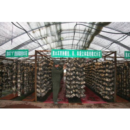养殖大棚管-天津乾亨伟业-养殖蘑菇大棚管