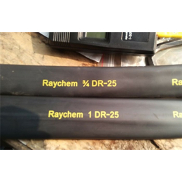 RAYCHEM(多图)-05811915,