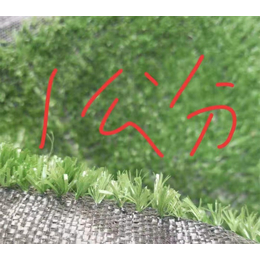 崇文区草坪网-巨东化纤绳网品质保证-草坪网墙
