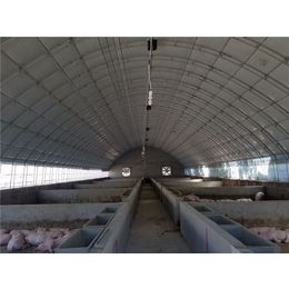 温室养猪大棚价格-腾鑫畜牧(在线咨询)-渭南温室养猪大棚