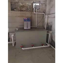 广州蓝奥臭氧*-小型农村污水处理器-南阳农村污水处理器