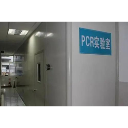核酸检测实验室PCR施工-山东康德莱净化更放心