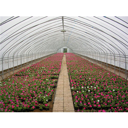 焦作花卉温室大棚膜-亿农农业-花卉温室大棚膜造价