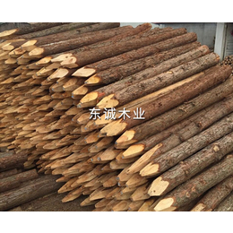 绿化木桩厂家-东诚木业杉木桩厂家-淄博绿化木桩
