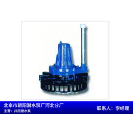 中型污水泵厂家-朝阳潜水泵(在线咨询)-中型污水泵
