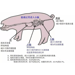 钾乐二甲酸钾对猪的生长性能的影响