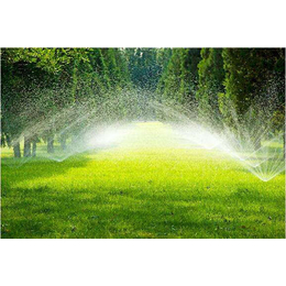芒市节水灌溉价格-芒市节水灌溉-润四季(查看)