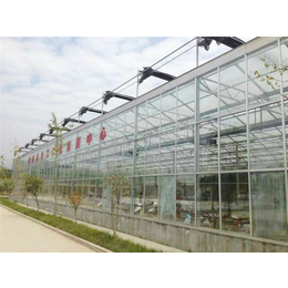 玻璃大棚-青州瀚洋农业-蔬菜玻璃大棚