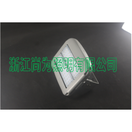 LED泛光灯SZSW7250-60W-SZSW7250价格