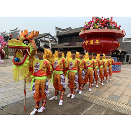 旅游景区舞狮队  南山舞狮队 福田舞狮队-飞龙醒狮团