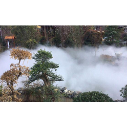 冷雾喷泉-盛程园林景观-冷雾喷泉哪家*