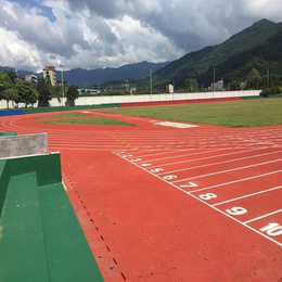 立美建材厂货*-田径场塑胶跑道价格-塑胶跑道价格