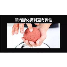 湖北*王渔具公司(在线咨询)-*王巨草水果发酵饵