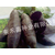 红薯苗-禾苗种业-济薯26红薯苗缩略图1