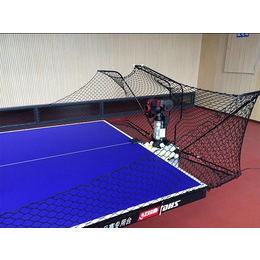 双蛇发球机厂商-乒乓球俱乐部乒乓球机器人品牌