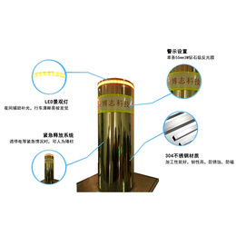 遥控液压升降柱-博志科技(在线咨询)-金华液压升降柱