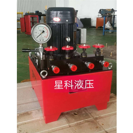 柳州超高压电动泵-超高压电动泵-星科液压