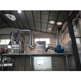 印刷废气处理厂家-永州印刷废气处理-新思达环保工程公司