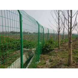 超兴铁丝防护网-湘潭护栏网-绿色绿化带护栏网