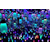 紫晨游乐(图)-呼吸森林厂家-潍坊呼吸森林缩略图1