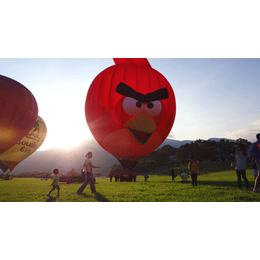 新天地航空俱乐部6(图)-热气球广告-张家港热气球
